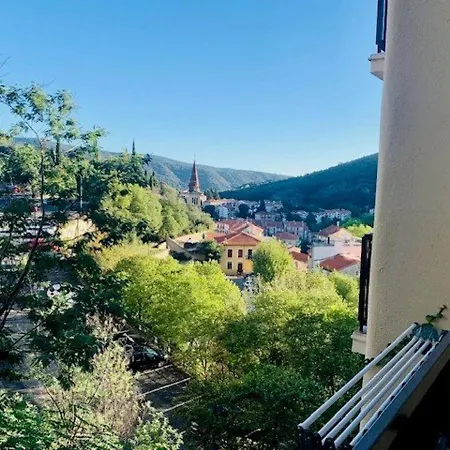 Apartment Confortable Avec Balcon, Parking Et Wifi, A Proximite Des Thermes Et Du Centre-ville - Fr-1-703-165 Amelie-les-Bains-Palalda